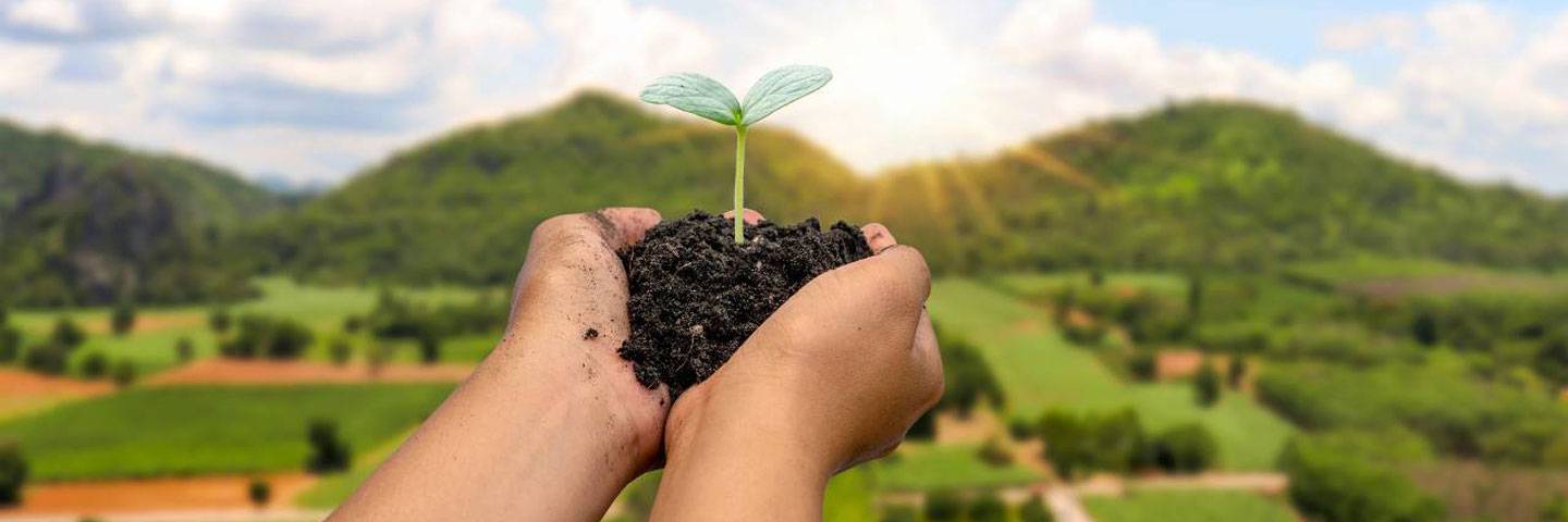 Tips for Sustainable Living, How Small Choices Can Make a Big Difference